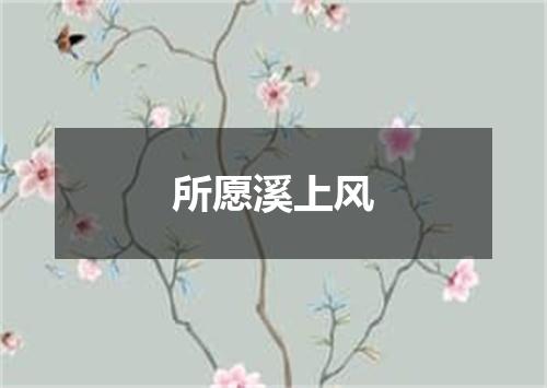 所愿溪上风