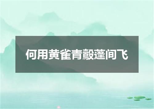 何用黄雀青鷇蓬间飞