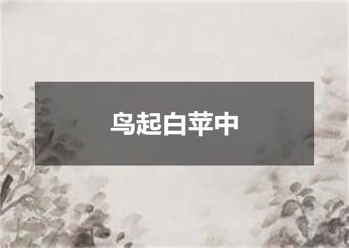 鸟起白苹中
