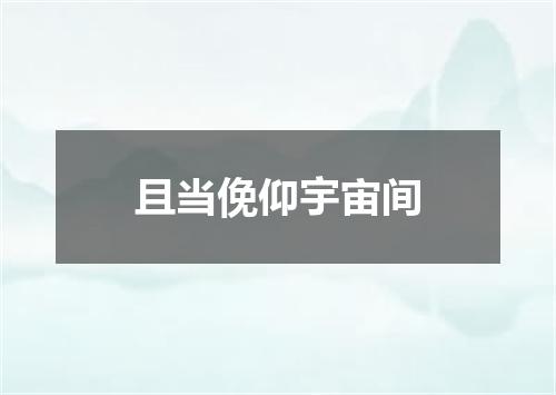 且当俛仰宇宙间