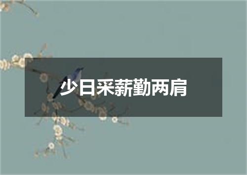 少日采薪勤两肩