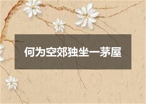 何为空郊独坐一茅屋