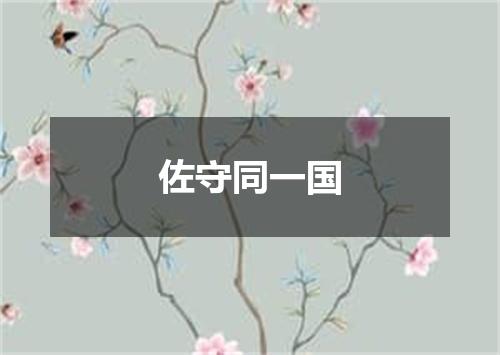 佐守同一国
