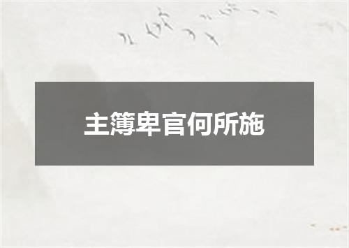 主簿卑官何所施