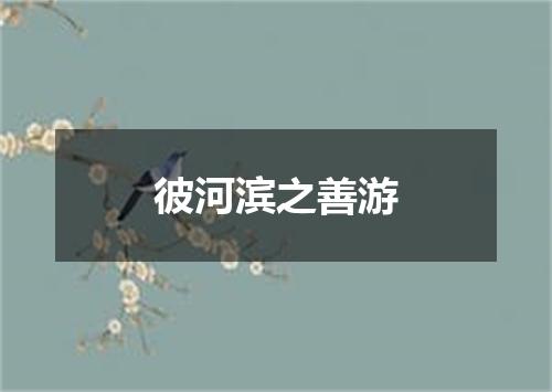 彼河滨之善游