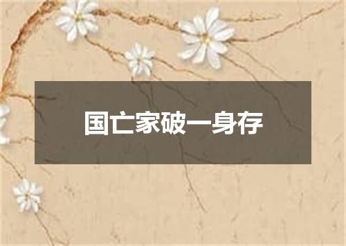 国亡家破一身存