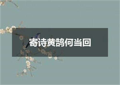 寄诗黄鹄何当回