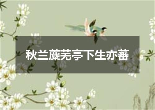 秋兰蘪芜亭下生亦蕃