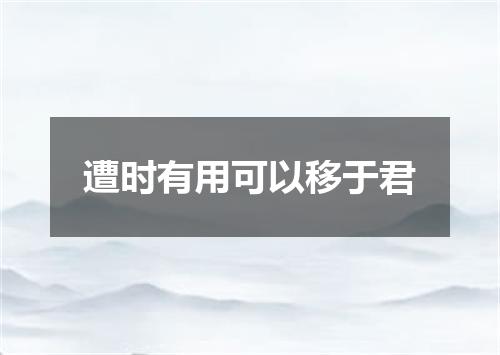 遭时有用可以移于君