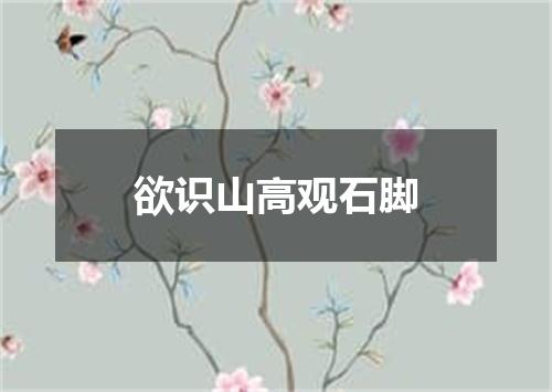 欲识山高观石脚