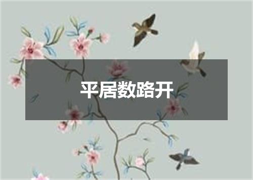 平居数路开