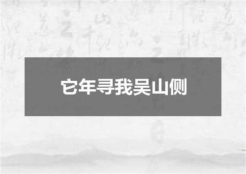 它年寻我吴山侧