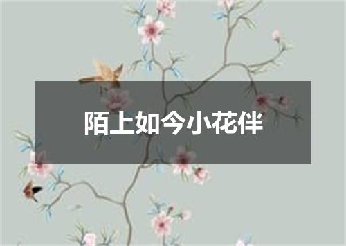 陌上如今小花伴