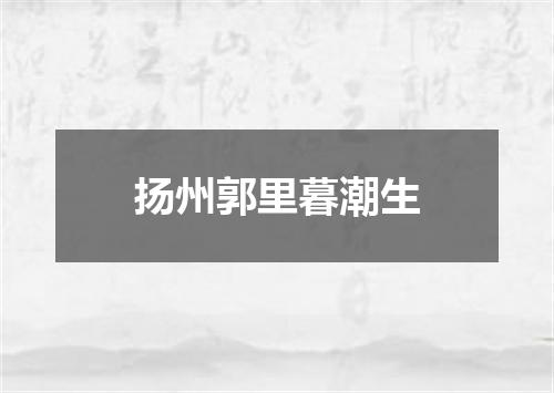 扬州郭里暮潮生