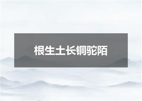 根生土长铜驼陌