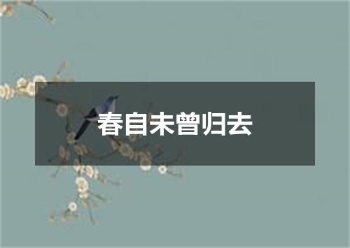 春自未曾归去