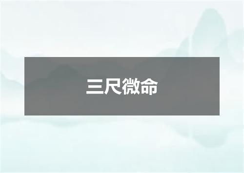 三尺微命