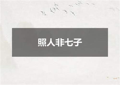 照人非七子