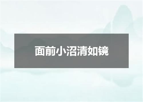 面前小沼清如镜