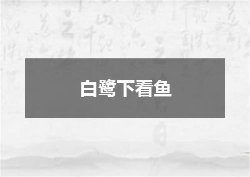 白鹭下看鱼