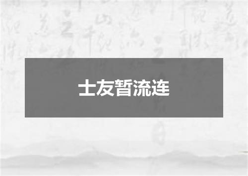 士友暂流连