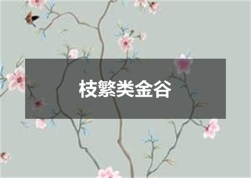 枝繁类金谷