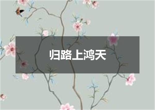 归路上鸿天