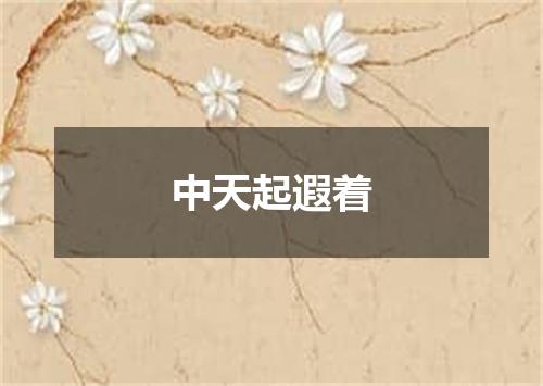 中天起遐着