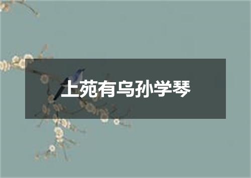 上苑有乌孙学琴