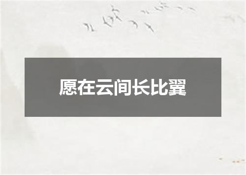 愿在云间长比翼