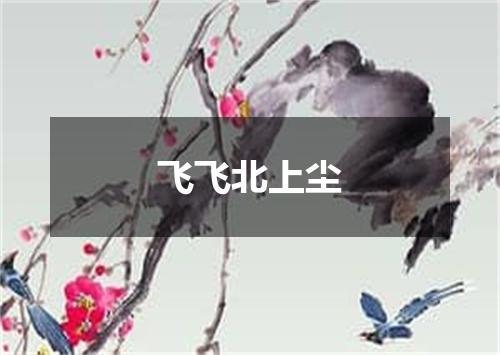 飞飞北上尘