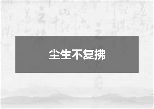 尘生不复拂