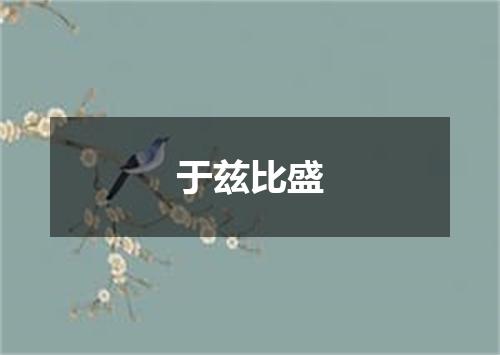 于兹比盛