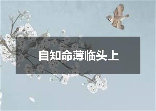 自知命薄临头上