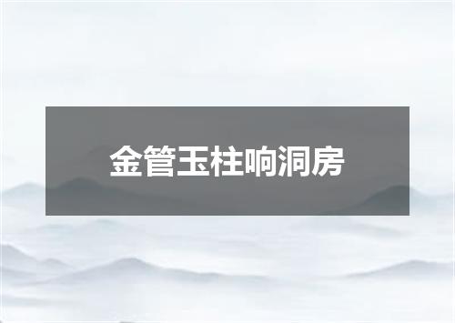 金管玉柱响洞房