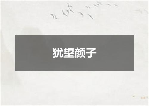 犹望颜子