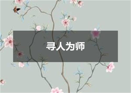 寻人为师