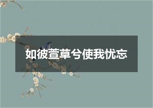 如彼萱草兮使我忧忘