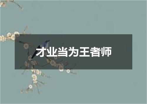 才业当为王者师