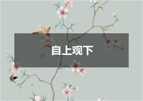 自上观下