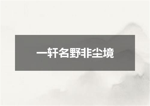 一轩名野非尘境