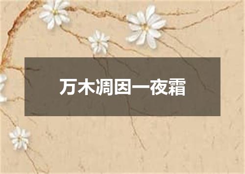 万木凋因一夜霜