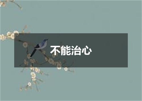 不能治心