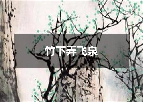竹下弄飞泉