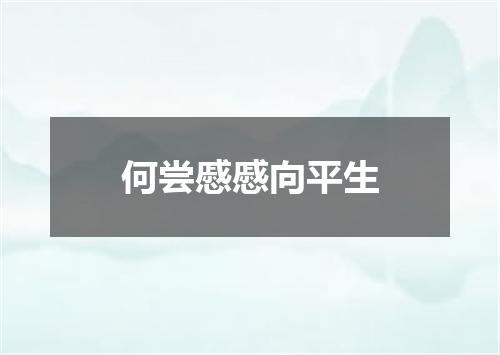 何尝慼慼向平生