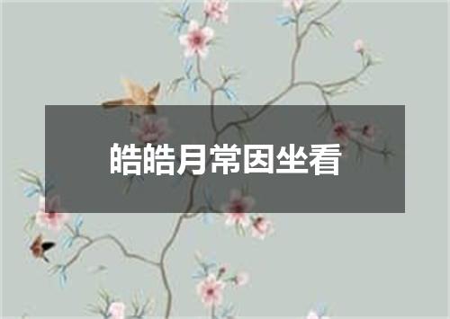 皓皓月常因坐看