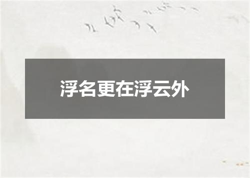 浮名更在浮云外