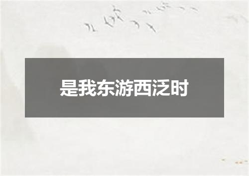 是我东游西泛时
