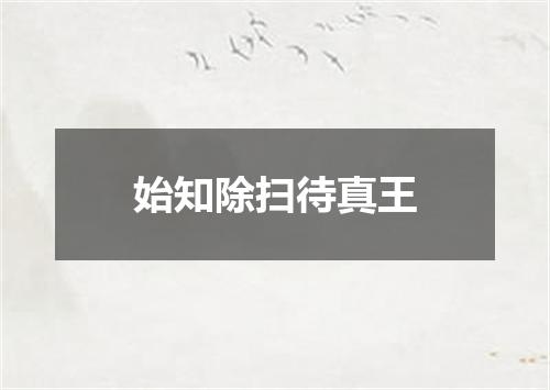 始知除扫待真王