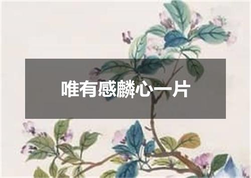 唯有感麟心一片